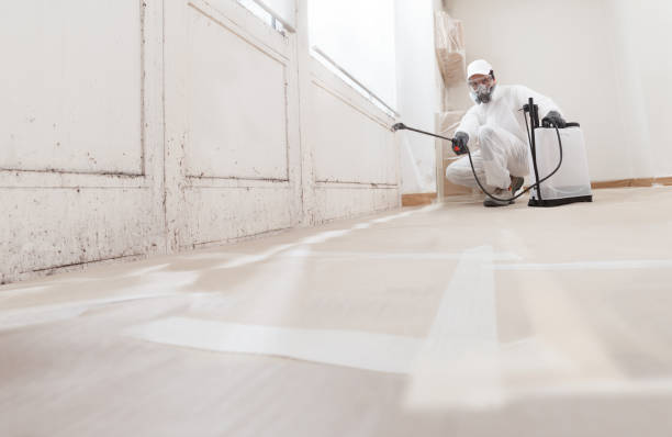 24/7 Emergency Commercial Mold Remediation experts in Smithfield, NC