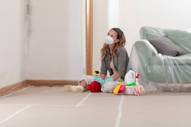 Reliable Commercial Mold Remediation contractor in Smithfield, NC by WQB Mold Removal